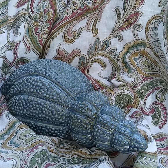 Sea Shell Decor - Picture 4 of 5